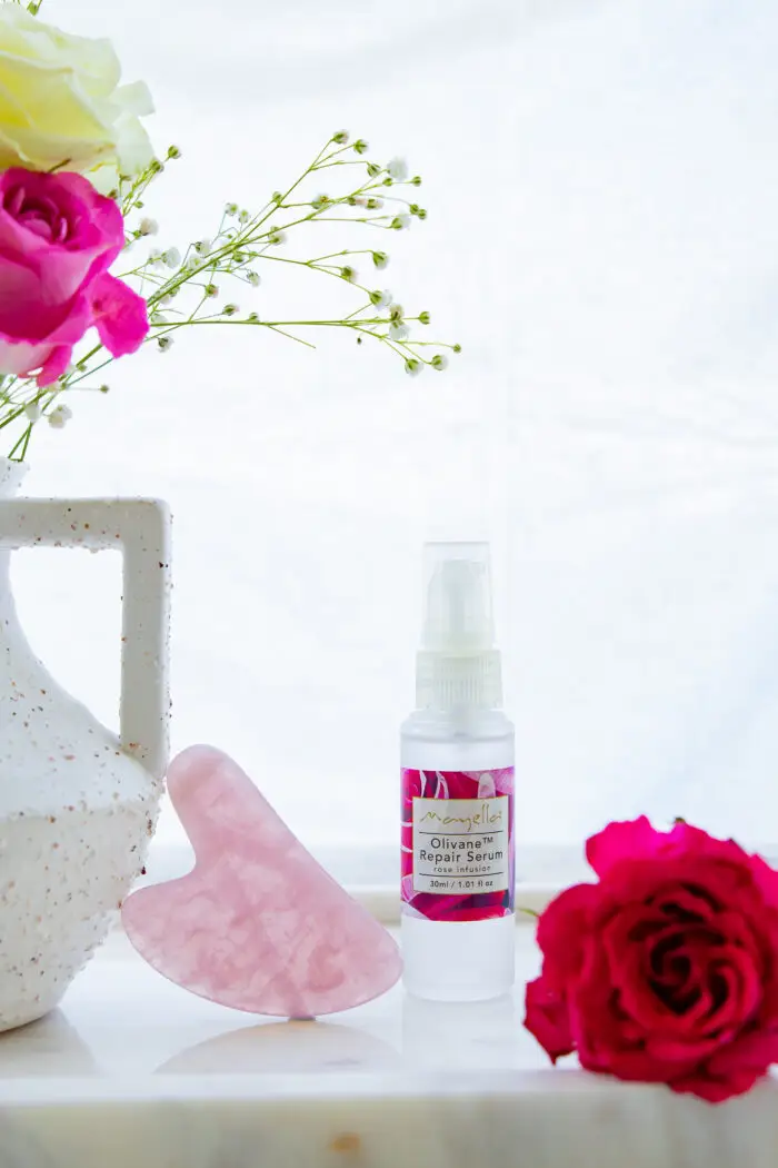 Mayella Rose Quartz Gua Sha standing on bottom point leaning against a white pottery vase of roses with deep red rose blossom beside the Gua Sha